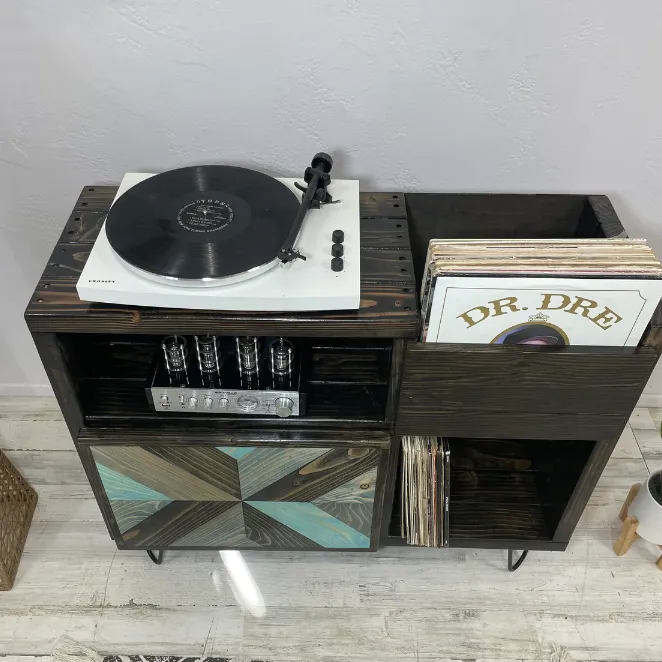 Lil Chubby with Chevron Door Vinyl Record Storage